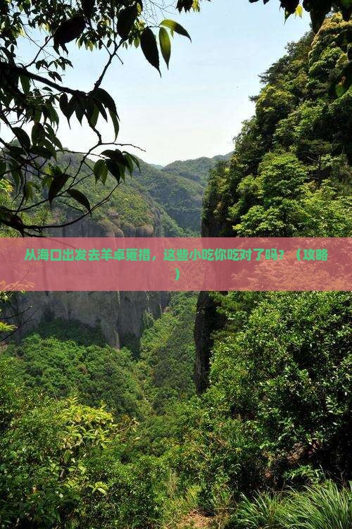 海口去西藏羊卓雍措旅游小吃
