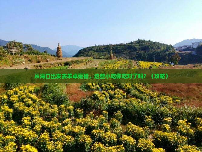 海口去西藏羊卓雍措旅游小吃