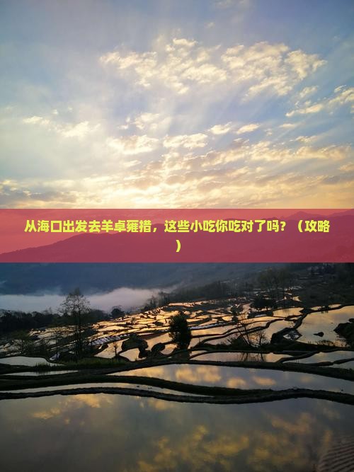 海口去西藏羊卓雍措旅游小吃