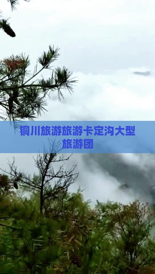 铜川到西藏卡定沟大型旅游团
