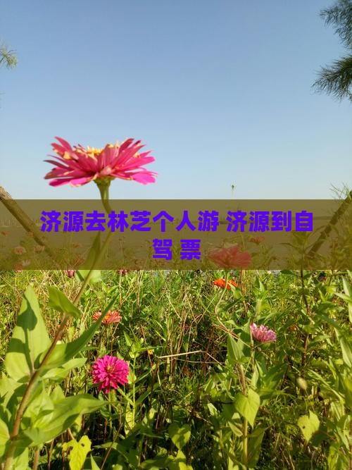 济源去西藏林芝个人游