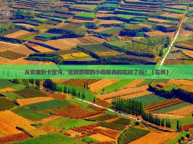 安康到西藏卡定沟旅游小吃