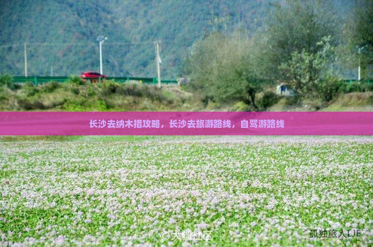长沙去西藏纳木措攻略