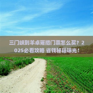 三门峡到西藏羊卓雍措门票
