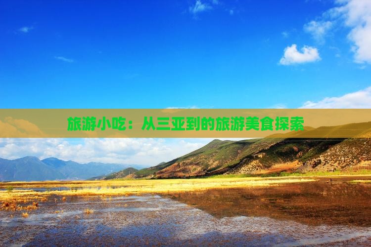 三亚到西藏旅游小吃