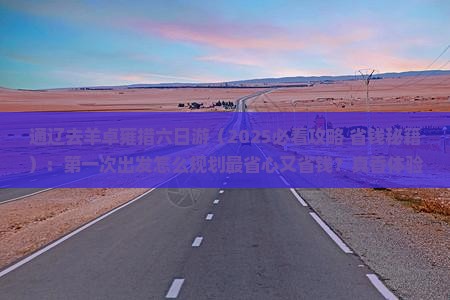 通辽去西藏羊卓雍措六日游