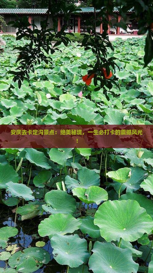 安庆去西藏卡定沟景点