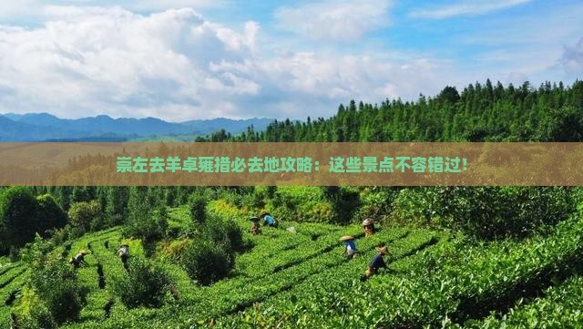崇左去西藏羊卓雍措必去地