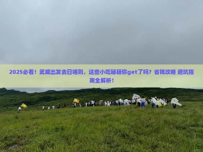 武威去西藏日喀则旅游小吃