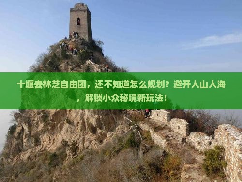 十堰去西藏林芝自由团