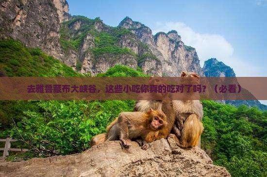 中秋节去西藏雅鲁藏布大峡谷旅游小吃