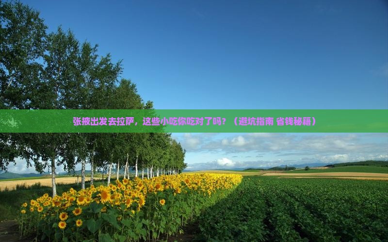 张掖去西藏拉萨旅游小吃