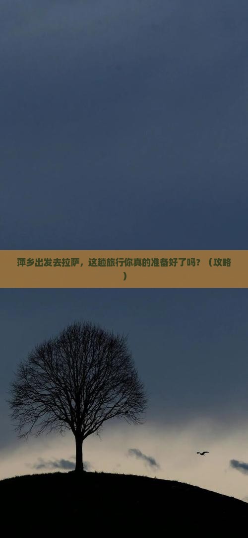 萍乡到西藏拉萨大型旅游团
