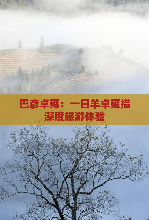 巴彦卓雍：一日羊卓雍措深度旅游体验