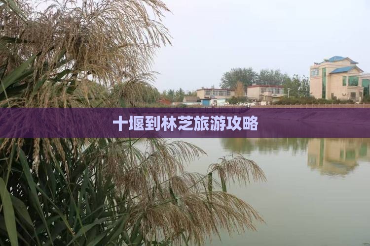十堰到林芝旅游攻略
