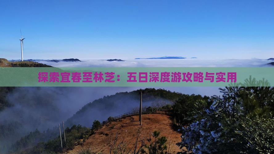 探索宜春至林芝：五日深度游攻略与实用