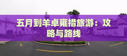 五月到羊卓雍措旅游：攻略与路线