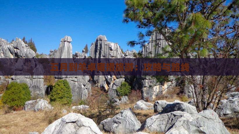 五月到羊卓雍措旅游：攻略与路线