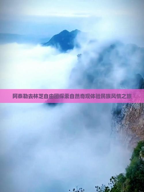 阿泰勒去林芝自由团探索自然奇观体验民族风情之旅