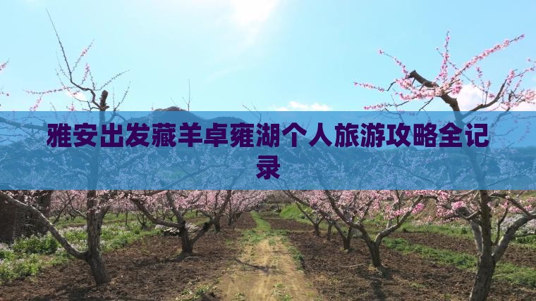 雅安出发藏羊卓雍湖个人旅游攻略全记录