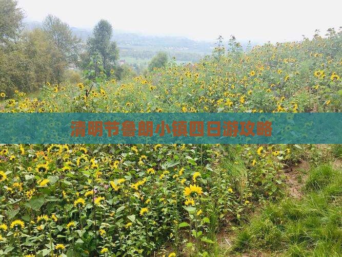 清明节鲁朗小镇四日游攻略