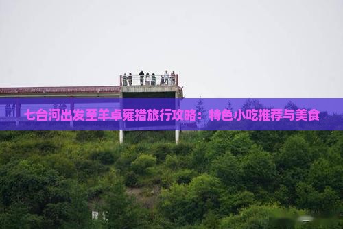 七台河出发至羊卓雍措旅行攻略：特色小吃推荐与美食