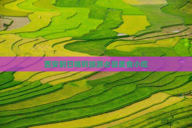 西安到日喀则旅游必尝美食小吃