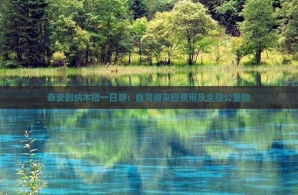 泰安到纳木措一日游：自驾游来回费用及全程公里数