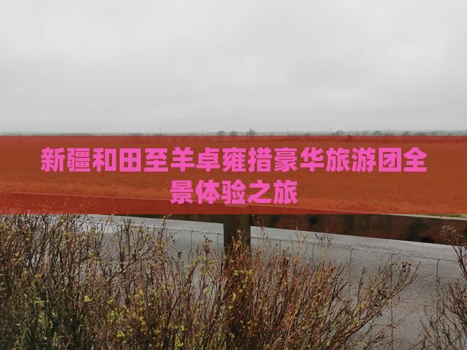 新疆和田至羊卓雍措豪华旅游团全景体验之旅