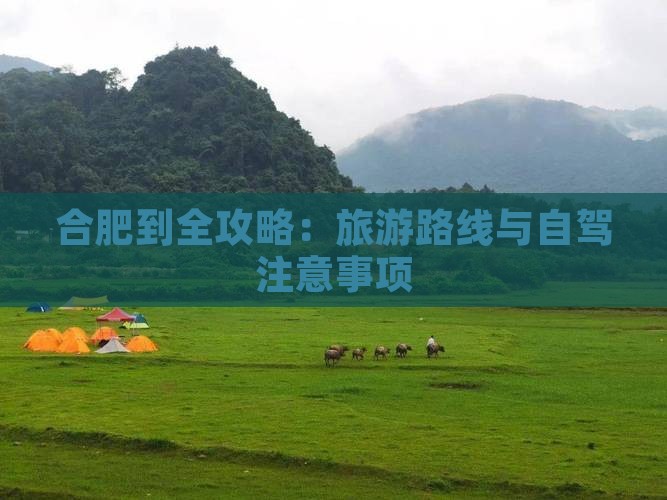 合肥到全攻略：旅游路线与自驾注意事项