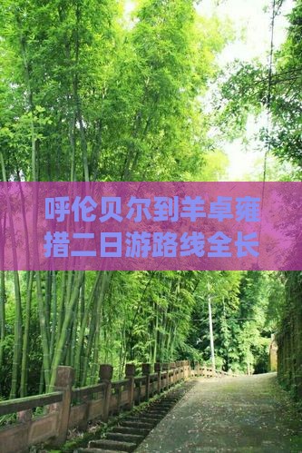 呼伦贝尔到羊卓雍措二日游路线全长公里数