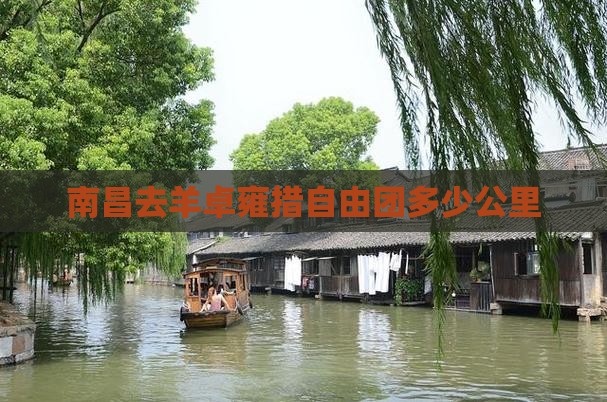 南昌去羊卓雍措自由团多少公里