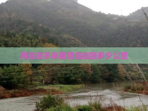 南昌去羊卓雍措自由团多少公里