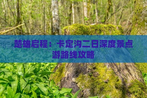 楚雄启程：卡定沟二日深度景点游路线攻略