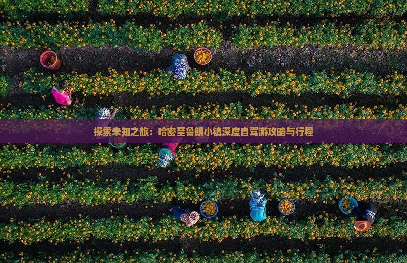 探索未知之旅：哈密至鲁朗小镇深度自驾游攻略与行程