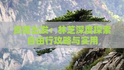 资阳出发：林芝深度探索自由行攻略与实用