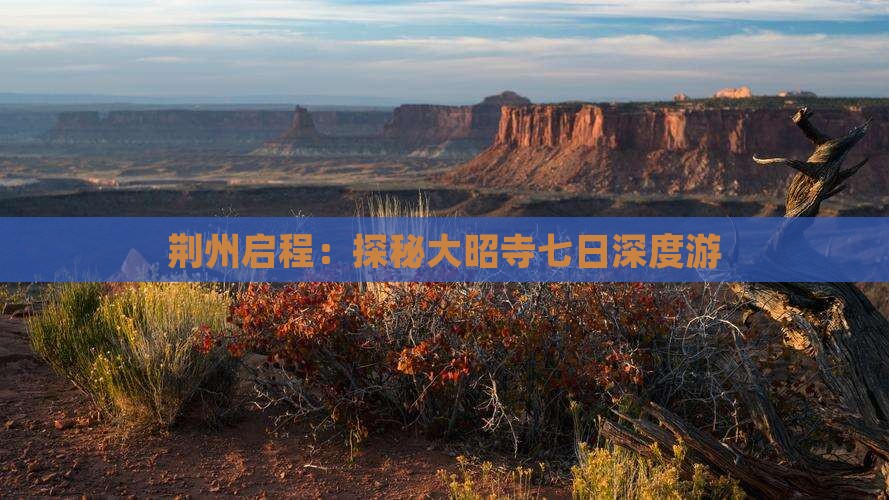 荆州启程：探秘大昭寺七日深度游