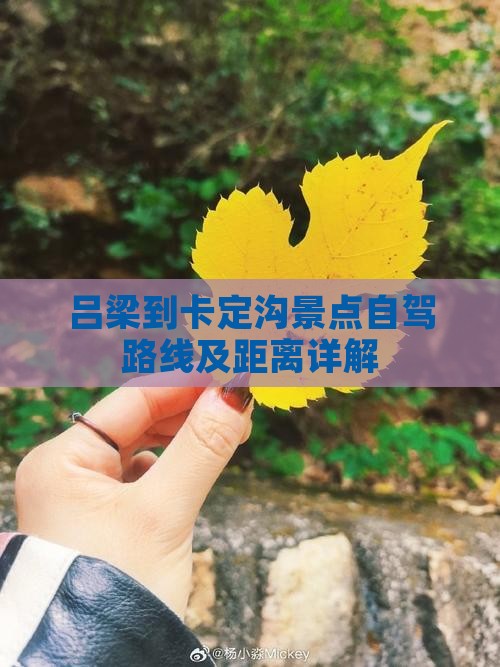 吕梁到卡定沟景点自驾路线及距离详解