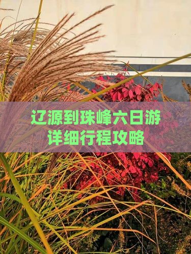 辽源到珠峰六日游详细行程攻略
