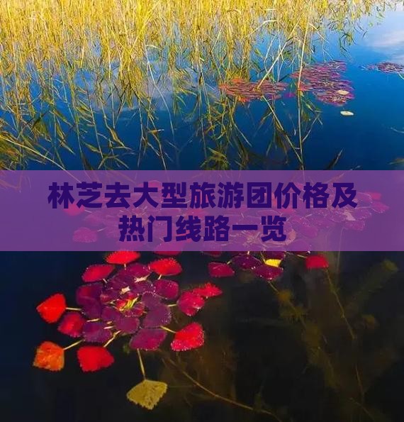 林芝去大型旅游团价格及热门线路一览