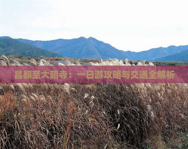 昌都至大昭寺：一日游攻略与交通全解析