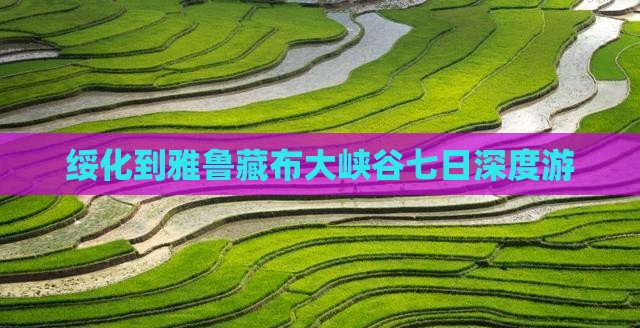 绥化到雅鲁藏布大峡谷七日深度游
