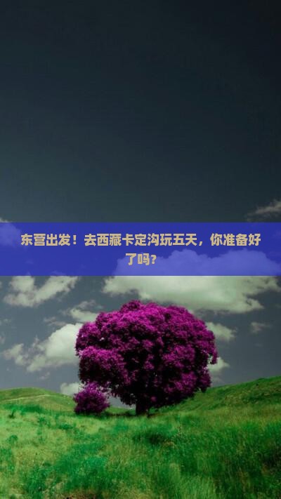 东营去西藏卡定沟五日游