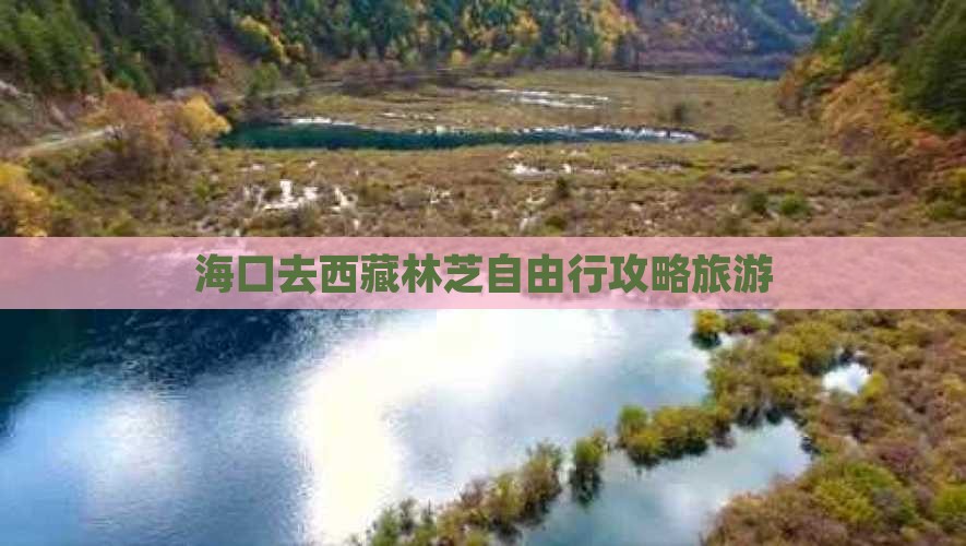 海口去西藏林芝自由行