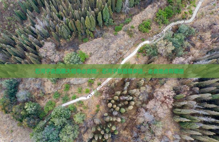石河子去西藏大昭寺必去地