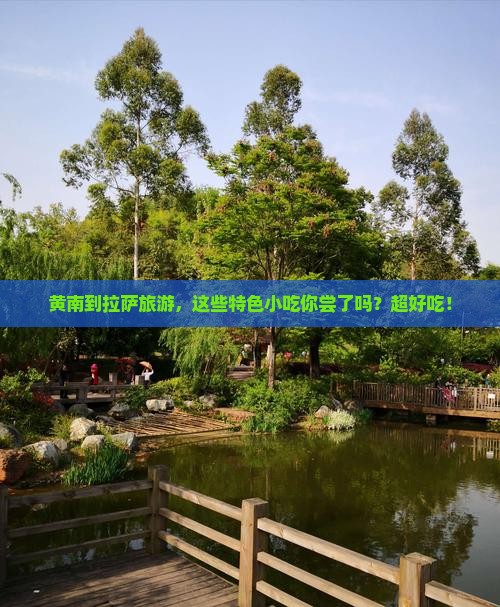 黄南去西藏拉萨旅游小吃