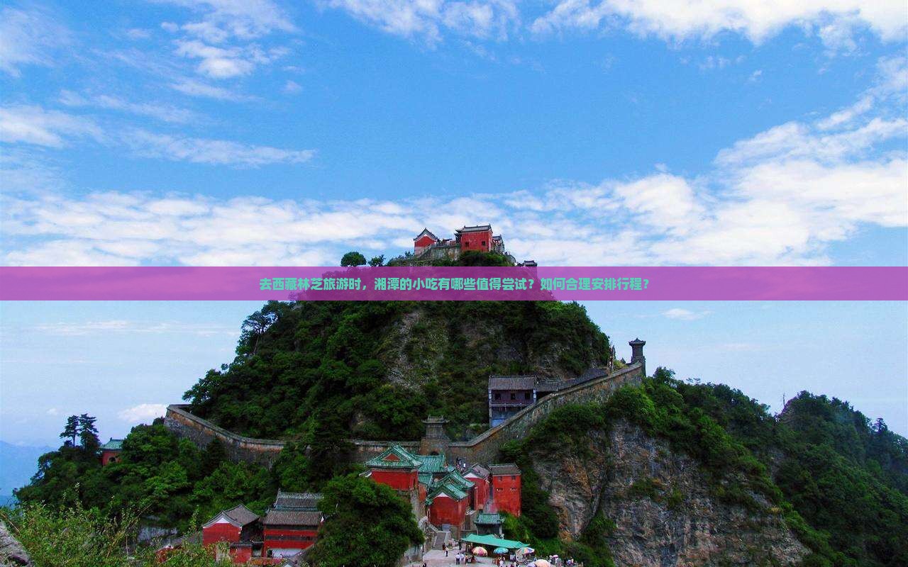 湘潭去西藏林芝旅游小吃