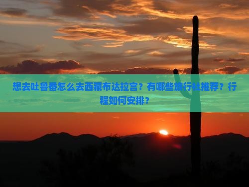 吐鲁番去西藏布达拉宫旅行社