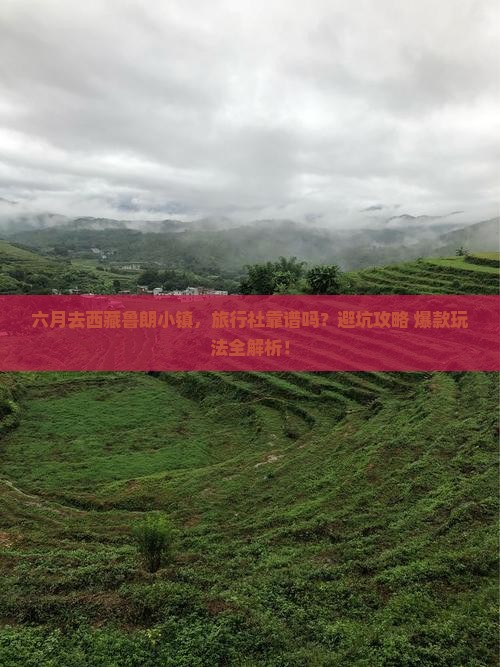 六月去西藏鲁朗小镇旅行社