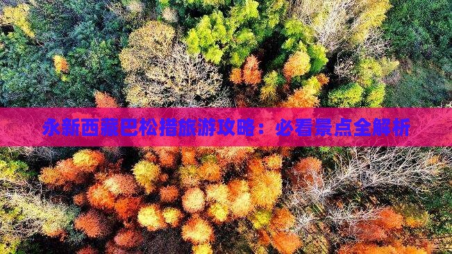 永新去西藏巴松措攻略